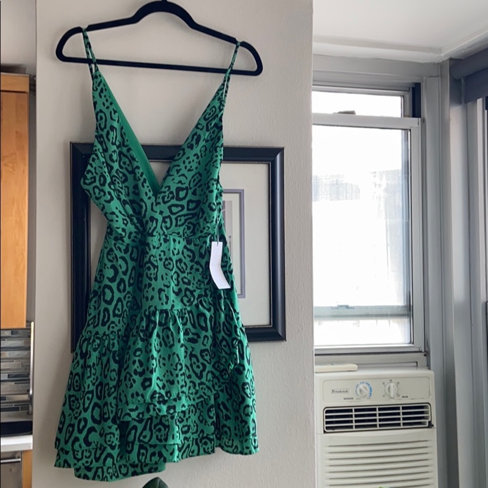 WAYF leopard green dress